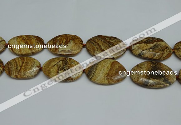 CNG7105 25*35mm - 35*45mm faceted freeform picture jasper beads