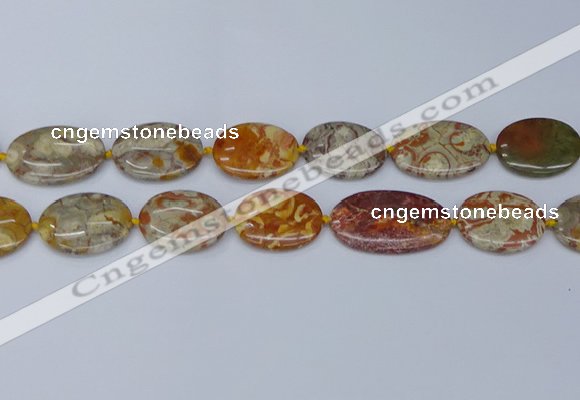 CNG7111 15.5 inches 18*25mm - 20*33mm freeform birdeye rhyolite beads