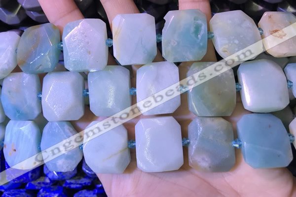 CNG7477 15.5 inches 18*25mm - 20*28mm faceted freeform amazonite beads