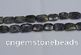 CNG7487 15.5 inches 18*25mm - 20*30mm faceted freeform labradorite beads