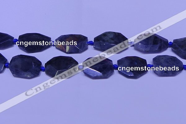 CNG7517 15.5 inches 25*35mm - 30*40mm faceted freeform labradorite beads