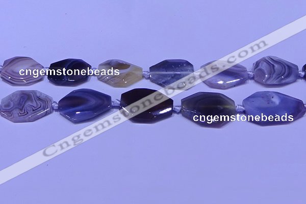 CNG7527 18*25mm - 25*35mm faceted freeform Botswana agate beads