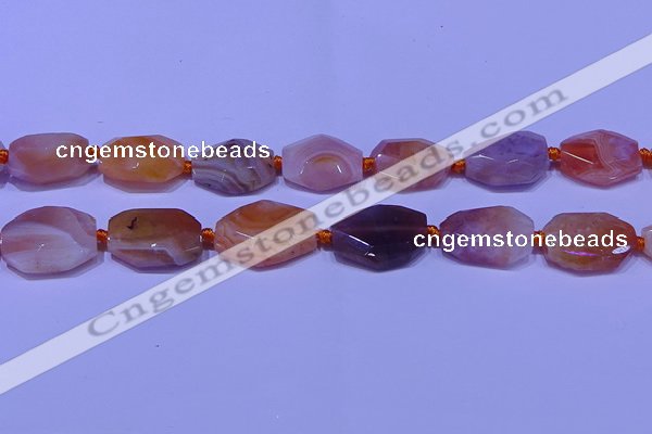 CNG7528 18*25mm - 25*35mm faceted freeform red Botswana agate beads