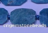 CNG7530 15.5 inches 18*25mm - 25*35mm faceted freeform amazonite beads