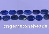 CNG7533 15.5 inches 18*25mm - 25*35mm faceted freeform apatite beads