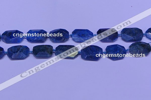 CNG7533 15.5 inches 18*25mm - 25*35mm faceted freeform apatite beads