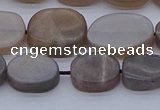 CNG7576 15.5 inches 10*14mm - 13*18mm freeform sunstone beads