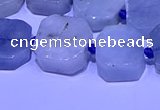 CNG7603 15.5 inches 12*14mm - 15*16mm freeform aquamarine beads