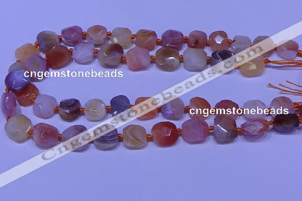 CNG7620 12*14mm - 13*15mm faceted freeform red botswana agate beads