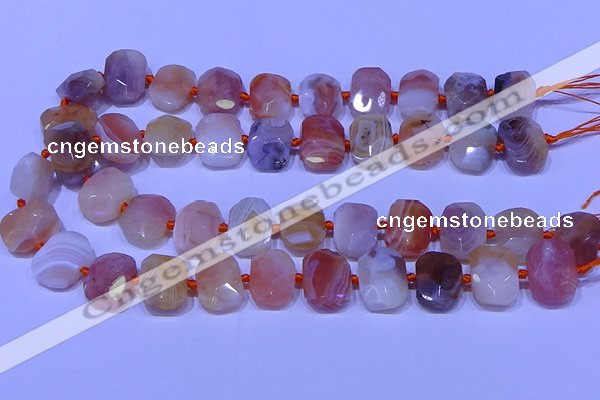 CNG7622 13*18mm - 15*20mm faceted freeform red botswana agate beads