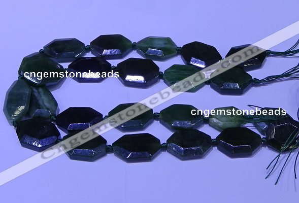 CNG7627 20*30mm - 22*32mm faceted freeform Canadian Jade beads