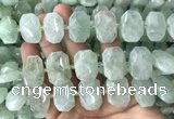 CNG7753 13*18mm - 15*25mm faceted freeform light prehnite beads