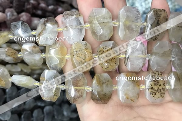 CNG7760 13*18mm - 15*25mm faceted freeform scenic quartz beads