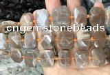 CNG7766 13*18mm - 15*25mm faceted freeform orange moonstone beads