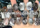 CNG7773 13*18mm - 15*25mm faceted freeform Botswana agate beads