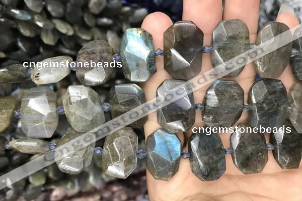 CNG7774 13*18mm - 15*25mm faceted freeform labradorite beads