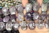 CNG7777 15.5 inches 13*18mm - 15*25mm faceted freeform amethyst beads