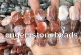 CNG7782 13*18mm - 15*25mm faceted freeform red Botswana agate beads