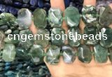 CNG7783 15.5 inches 13*18mm - 15*25mm faceted freeform moss agate beads