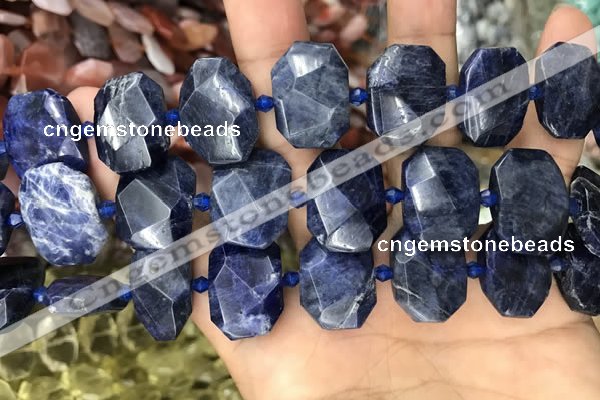 CNG7788 15.5 inches 13*18mm - 15*25mm faceted freeform sodalite beads