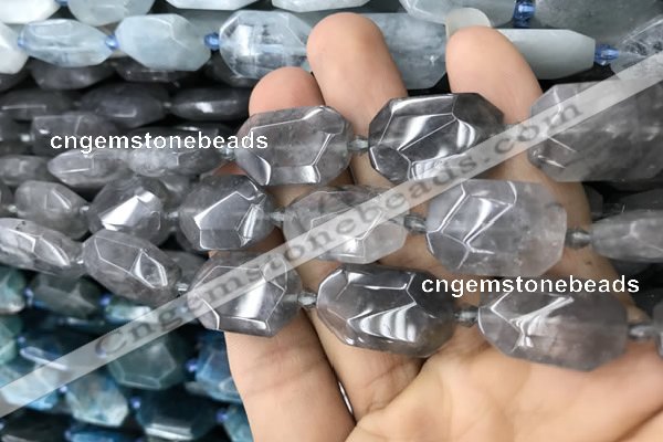 CNG7805 13*18mm - 18*25mm faceted freeform cloudy quartz beads