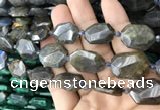 CNG7819 15.5 inches 13*18mm - 18*25mm faceted freeform labradorite beads