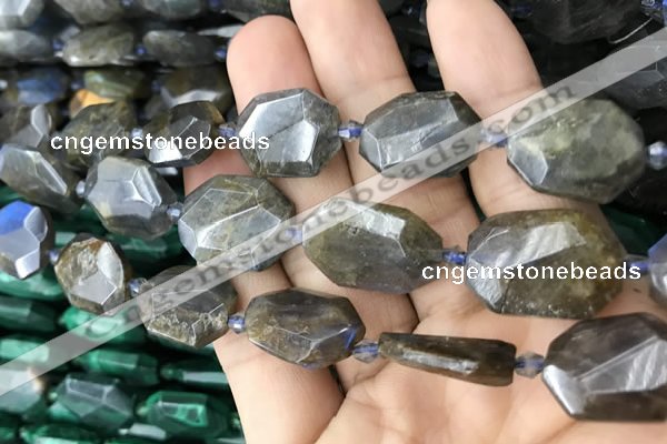 CNG7819 15.5 inches 13*18mm - 18*25mm faceted freeform labradorite beads