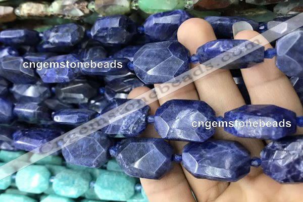 CNG7822 15.5 inches 13*18mm - 18*25mm faceted freeform sodalite beads