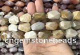 CNG7843 12*16mm - 15*25mm faceted nuggets fossil coral beads