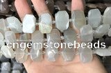 CNG7880 13*18mm - 15*25mm faceted freeform moonstone beads