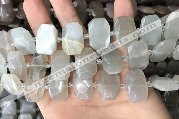 CNG7880 13*18mm - 15*25mm faceted freeform moonstone beads