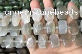 CNG7881 13*18mm - 15*25mm faceted freeform moonstone beads