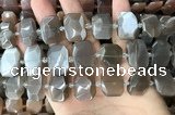 CNG7883 13*18mm - 15*25mm faceted freeform moonstone beads