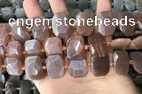 CNG7885 13*18mm - 15*25mm faceted freeform moonstone beads