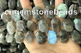 CNG7887 13*18mm - 15*25mm faceted freeform labradorite beads