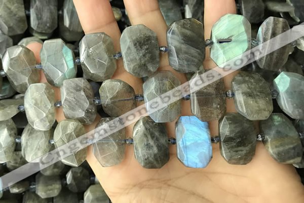 CNG7887 13*18mm - 15*25mm faceted freeform labradorite beads