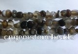 CNG8106 15.5 inches 6*8mm - 10*12mm agate gemstone chips beads