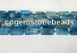 CNG8397 15.5 inches 8*18mm - 10*25mm freeform agate beads