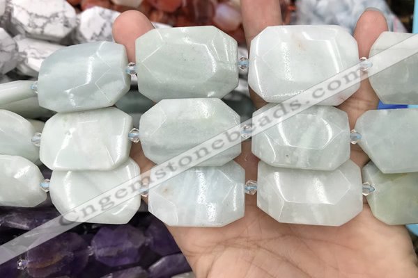 CNG8555 22*30mm - 25*35mm faceted freeform amazonite beads