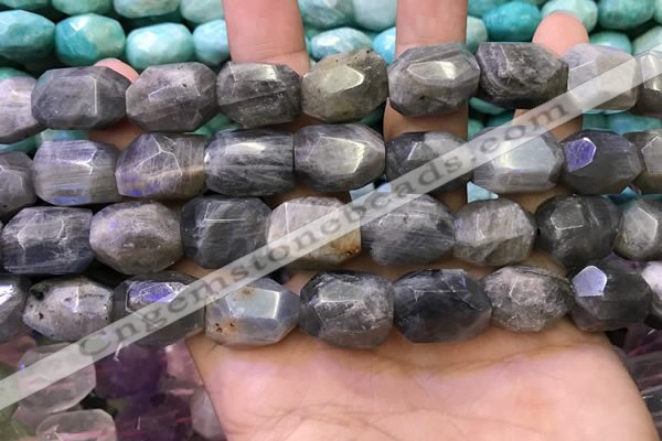 CNG8584 13*18mm - 15*20mm faceted nuggets labradorite beads