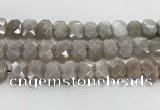 CNG8615 10*13mm - 12*16mm faceted freeform moonstone beads