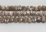 CNG8617 10*13mm - 12*16mm faceted freeform AB-color moonstone beads