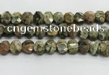 CNG8619 10*13mm - 12*16mm faceted freeform rhyolite beads