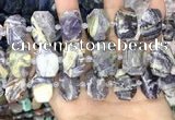 CNG8631 15.5 inches 13*18mm - 15*25mm faceted freeform charoite beads