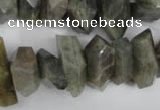 CNG867 15.5 inches 8*15mm – 13*24mm faceted nuggets labradorite beads