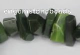 CNG869 15.5 inches 7*14mm – 13*25mm faceted nuggets Canadian jade beads