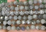 CNG8717 15.5 inches 10mm faceted nuggets labradorite gemstone beads