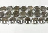 CNG8810 15.5 inches 16mm - 20mm faceted freeform moonstone beads