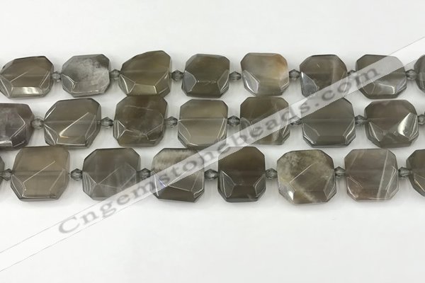 CNG8810 15.5 inches 16mm - 20mm faceted freeform moonstone beads