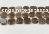 CNG8811 15.5 inches 16mm - 20mm faceted freeform moonstone beads